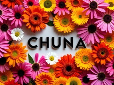 Chuna