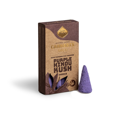 CONO CANNABIS PURPLE HINDU KUSH INDICA X 6
